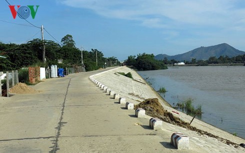 Vietnam's agriculture adapts to climate change  - ảnh 2